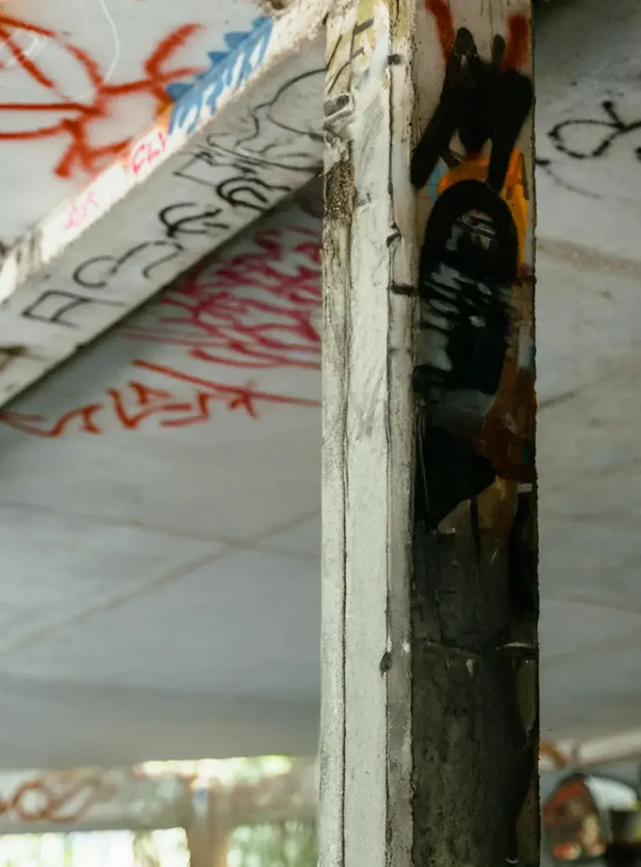 Carter Bell background