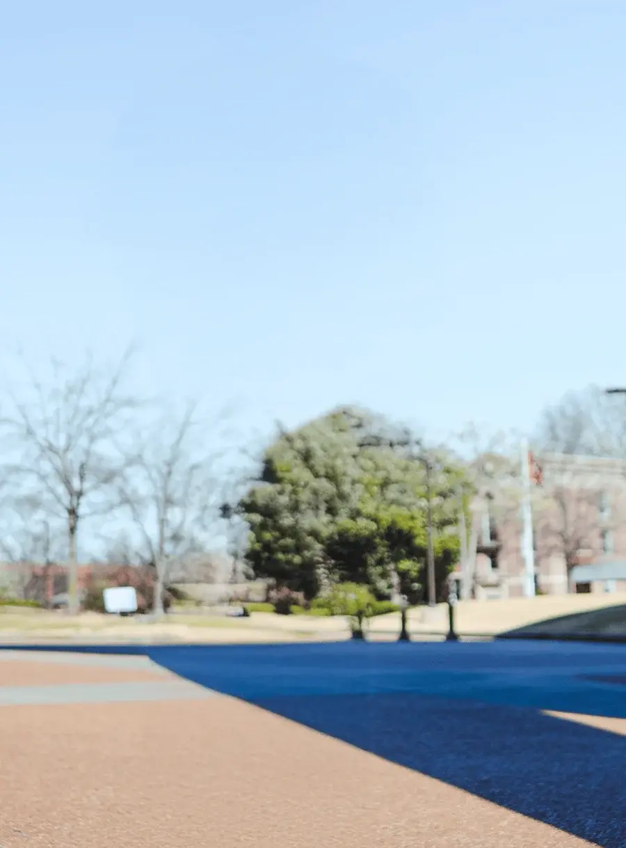 Jordan Lee background